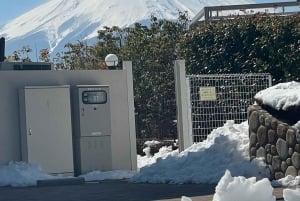 Tokyo: Mount fuji & Hakone Private Day Tour