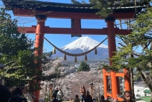 Tokyo: Mount fuji & Hakone Private Day Tour