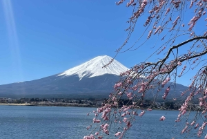 Tokyo: Mount fuji & Hakone Private Day Tour