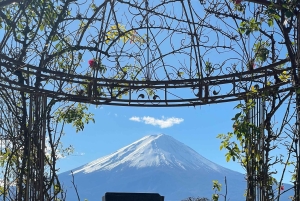 Tokyo: Mount fuji & Hakone Private Day Tour