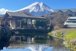 Tokyo: Mount fuji & Hakone Private Day Tour