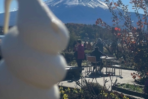 Tokyo: Mount fuji & Hakone Private Day Tour