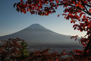 Tokio: Monte Fuji y Hakone Viaje Privado Guiado a Medida