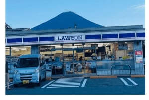 Von Tokio: Private Tagestour zum Fuji und nach Hakone