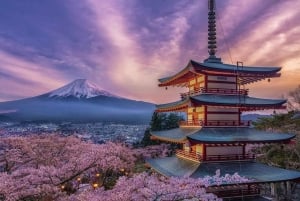 Tokio: tour privado con guía por el monte Fuji y Hakone