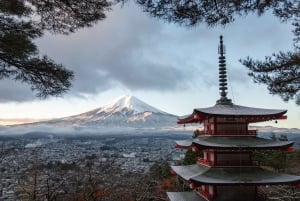Tokio: tour privado con guía por el monte Fuji y Hakone