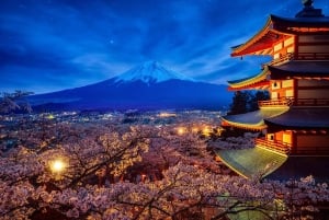 Tokio: tour privado con guía por el monte Fuji y Hakone