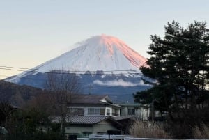 Tokio: tour privado con guía por el monte Fuji y Hakone
