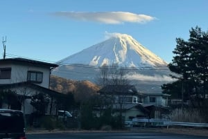 Tokio: tour privado con guía por el monte Fuji y Hakone