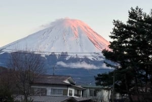 Tokio: tour privado con guía por el monte Fuji y Hakone