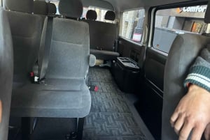 Tokio: tour privado con guía por el monte Fuji y Hakone