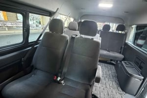 Tokio: tour privado con guía por el monte Fuji y Hakone