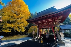 Tokio: tour privado con guía por el monte Fuji y Hakone