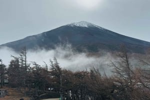 Tokio: tour privado con guía por el monte Fuji y Hakone
