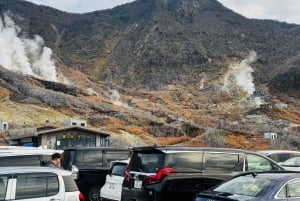 Tokio: tour privado con guía por el monte Fuji y Hakone