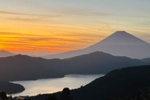 Tokio: tour privado con guía por el monte Fuji y Hakone