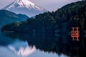 Tokio: tour privado con guía por el monte Fuji y Hakone