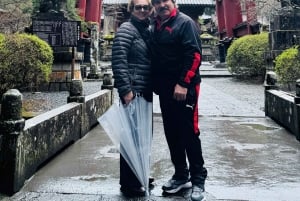 Tokio: tour privado con guía por el monte Fuji y Hakone