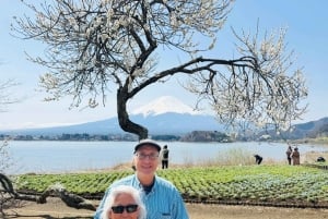 Tokio: tour privado con guía por el monte Fuji y Hakone