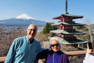Tokio: tour privado con guía por el monte Fuji y Hakone
