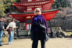 Tokio: tour privado con guía por el monte Fuji y Hakone
