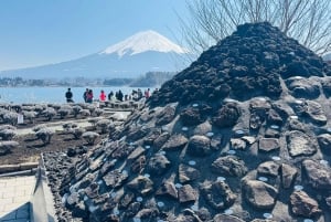 Tokio: tour privado con guía por el monte Fuji y Hakone