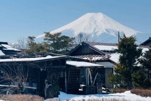 Tokio: tour privado con guía por el monte Fuji y Hakone