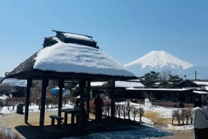 Tokio: tour privado con guía por el monte Fuji y Hakone