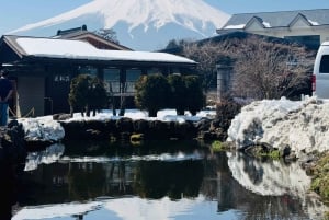 Tokio: tour privado con guía por el monte Fuji y Hakone