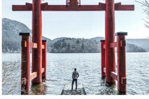 Tokyo: Tour del Monte Fuji e di Hakone con guida in inglese