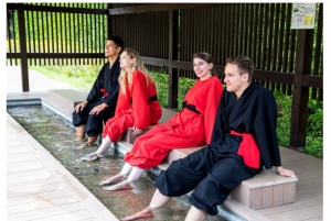 Tokyo: Tour del Monte Fuji e di Hakone con guida in inglese