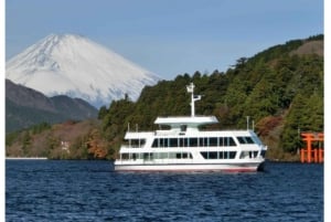 Tokyo: Tour del Monte Fuji e di Hakone con guida in inglese