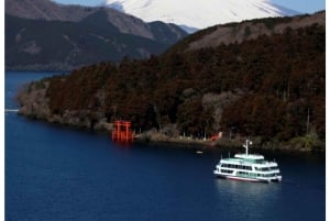 Tokyo: Tour del Monte Fuji e di Hakone con guida in inglese