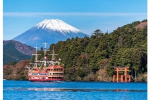 Tokyo: Tour del Monte Fuji e di Hakone con guida in inglese