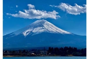 Tokyo: Tour del Monte Fuji e di Hakone con guida in inglese