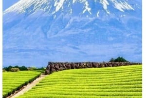 Tokyo: Tour del Monte Fuji e di Hakone con guida in inglese