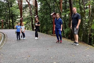 Tokyo: Tour del Monte Fuji e di Hakone con guida in inglese