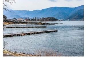 Tokyo: Tour del Monte Fuji e di Hakone con guida in inglese