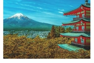 Tokyo: Tour del Monte Fuji e di Hakone con guida in inglese