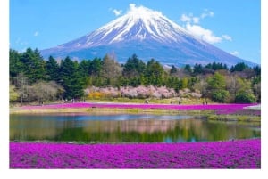 Tokyo: Tour del Monte Fuji e di Hakone con guida in inglese