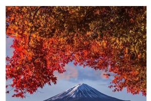 Tokyo: Tour del Monte Fuji e di Hakone con guida in inglese