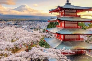 Tokyo: Tour del Monte Fuji e di Hakone con guida in inglese