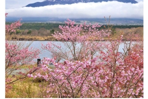 Tokyo: Tour del Monte Fuji e di Hakone con guida in inglese