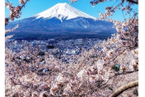 Tokyo: tour privato personalizzato del Monte Fuji e Hakone con autista inglese