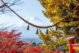 Från Tokyo: Privat dagsutflykt till berget Fuji och Fuji Five Lakes