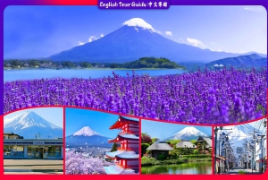 Tokyo: escursione di un giorno al Monte Fuji con soste panoramiche e locali