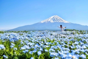 Tokyo: escursione di un giorno al Monte Fuji con soste panoramiche e locali