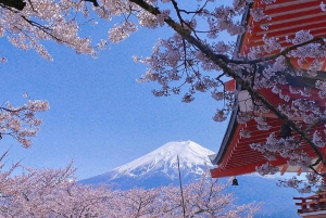 Tokyo: escursione di un giorno al Monte Fuji con soste panoramiche e locali