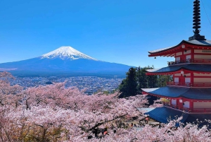 Tokyo: escursione di un giorno al Monte Fuji con soste panoramiche e locali