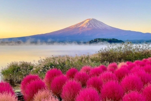 Tokyo: escursione di un giorno al Monte Fuji con soste panoramiche e locali